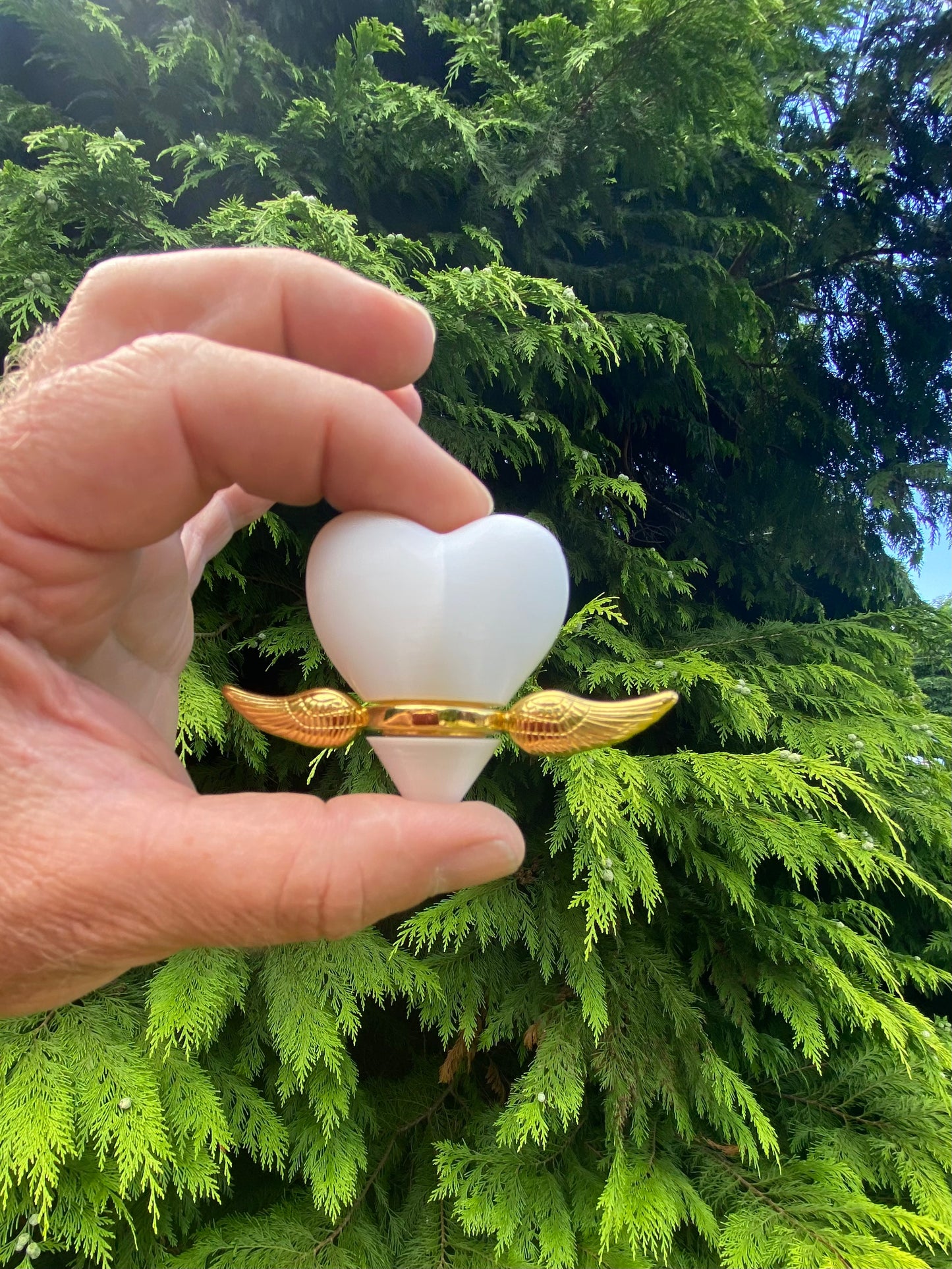 Cœur Vortex